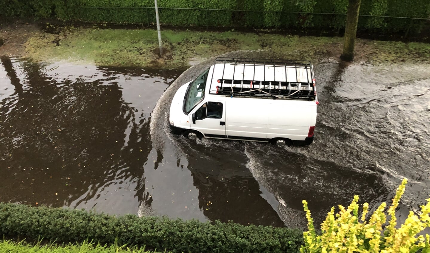 De Driest in Barneveld.