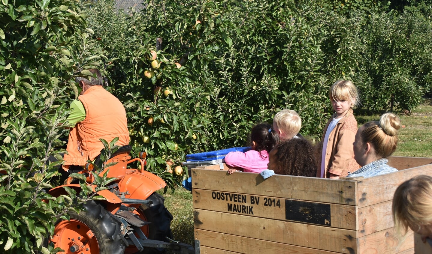 de rode appels worden geplukt.