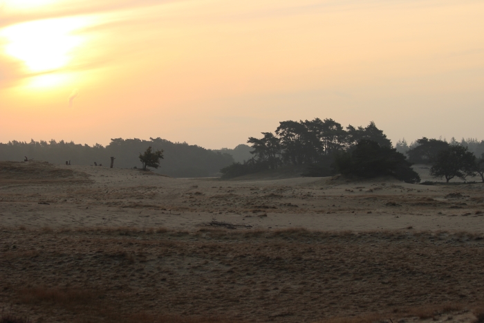 Zonsopkomst wekeromse zand