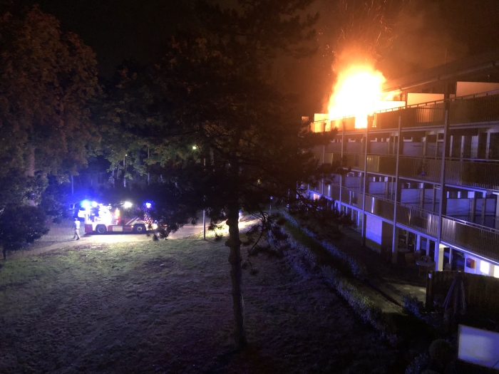 Brand Park Boswijk