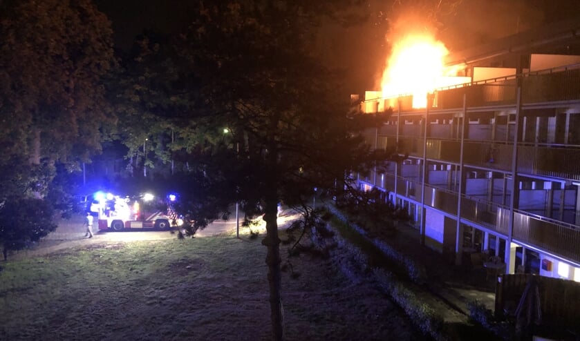 Brand Park Boswijk