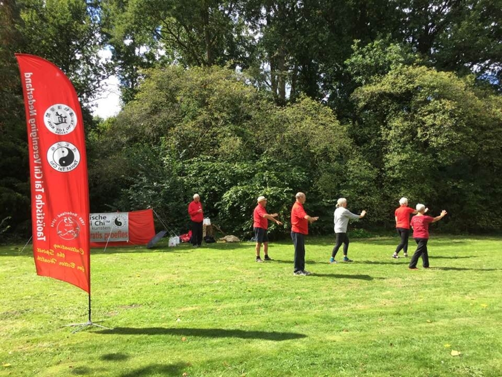 Tai Chi in het Amstelpark.