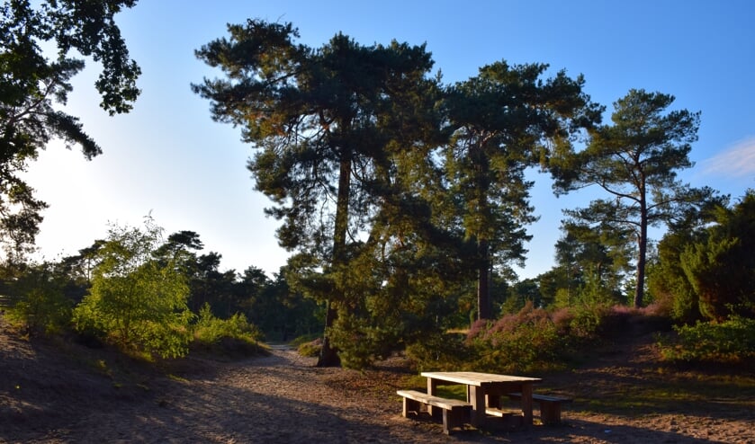 De Koeheuvels in Maarn