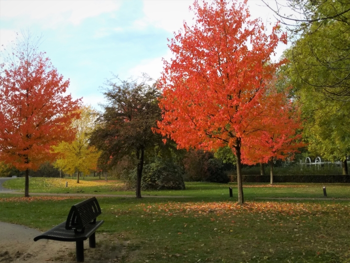 park Schothorst