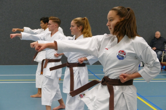 Karateka's beoefenen de basistchnieken.