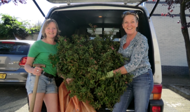 <p>Marieke van der Zeijden en Yvonne Kok geven aangeboden planten een nieuwe plek. </p>