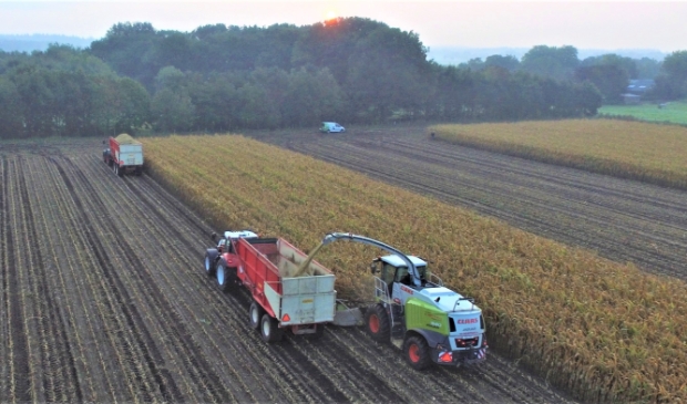 <p>Landbouwvoertuigen vorig jaar tijdens de oogst. Dit jaar moeten dergelijke voertuigen worden voorzien van een kenteken.</p>