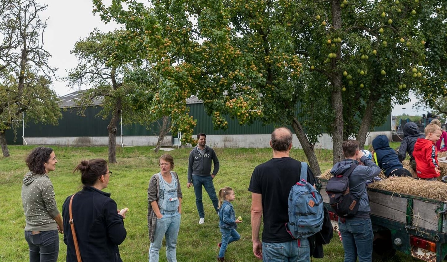 Aan 1 boom 2 soorten fruit