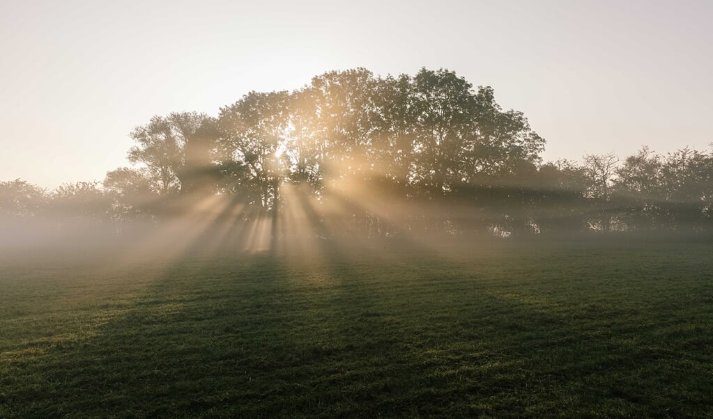 Prachtige ochtend, Avelingen in de mist