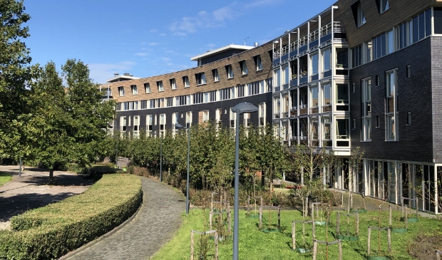<p>In het Zomerpark in de wijk Getsewoud.</p>