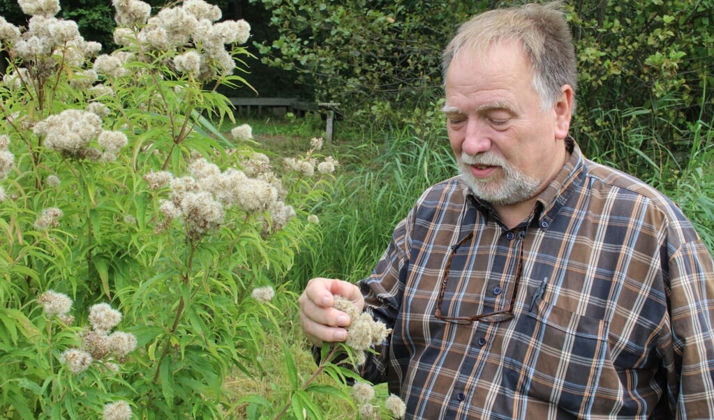 Henk Nijenhuis: ‘Er kan in armere grond interessante begroeiing terugkeren met orchideeën en andere aparte planten.’