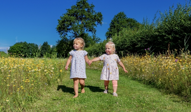 <p>De ultieme zomerfoto...</p>