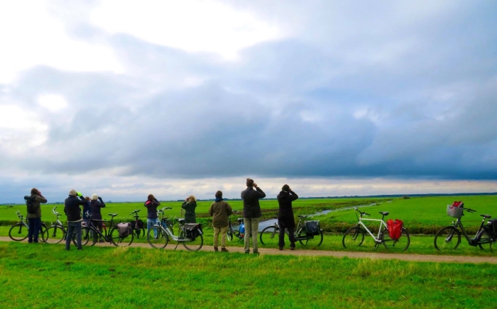 Vogels spotten, naast de fiets, in de Eemlandpolder