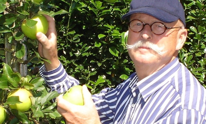 Ton plukt appels