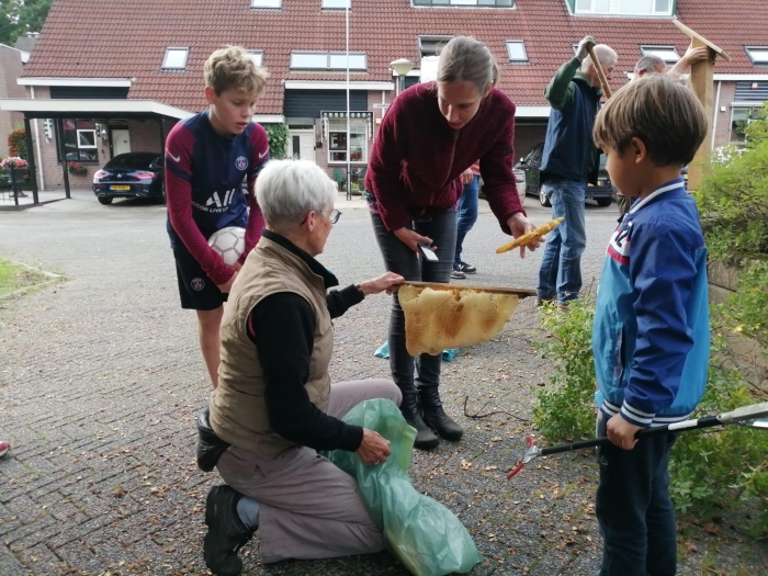 Bij-drijvigheid aan Boekweitland