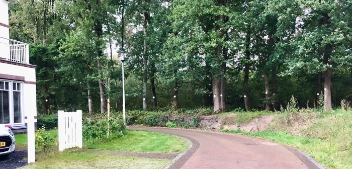 Bomen op de kaplijst