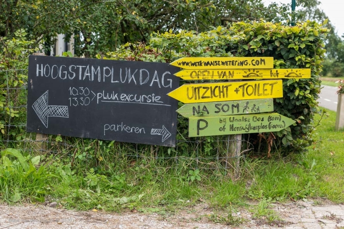 Hier moet je zijn