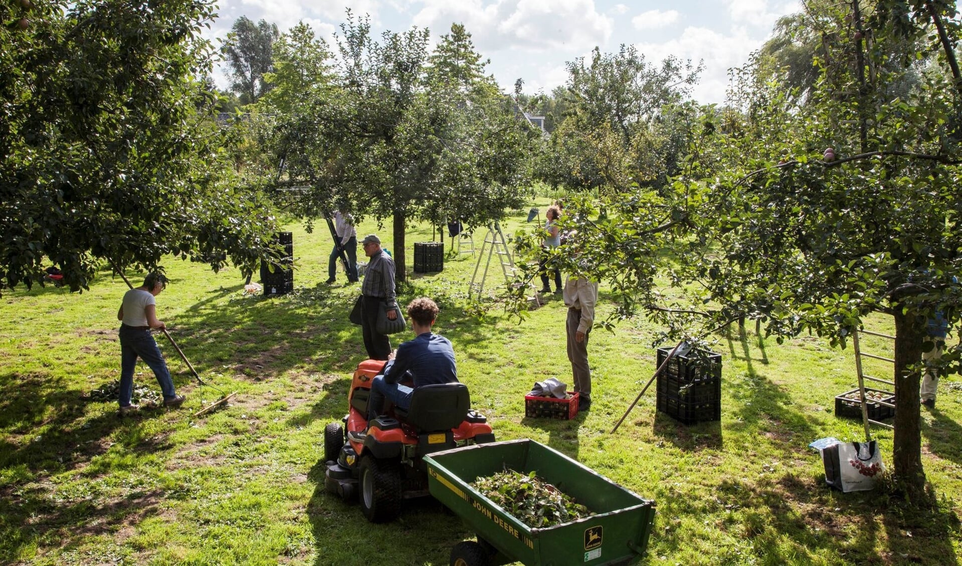 appels plukken op de Willemshoeve