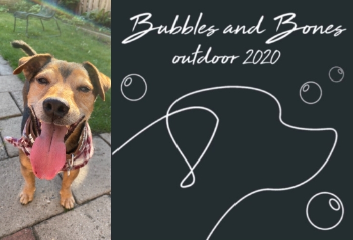 Event Bubbles & Bones