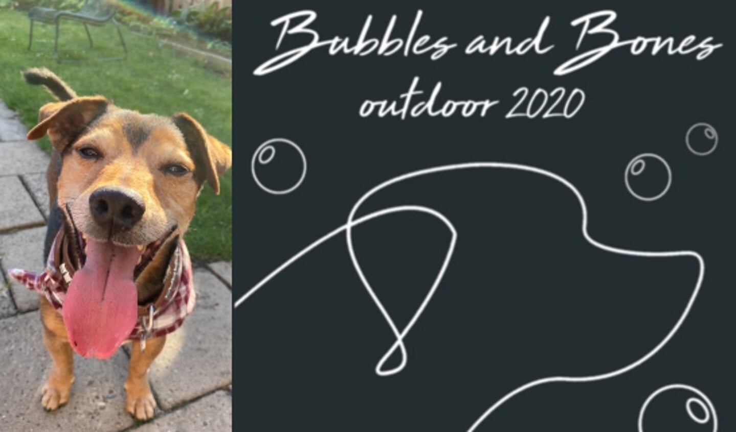 Event Bubbles & Bones