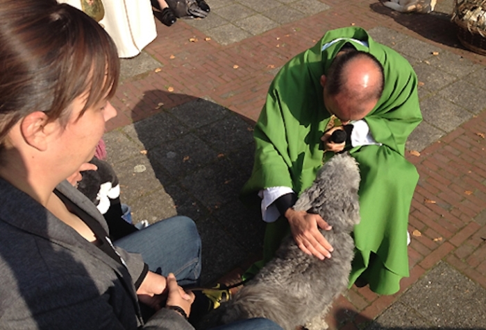 Dierendag bij de St. Josephkerk