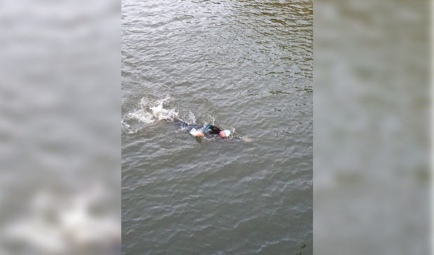 Tijmen in het buiten water