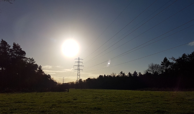 Najaarsmorgen met heldere zon boven het Edese Bos.