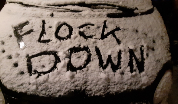 Flockdown