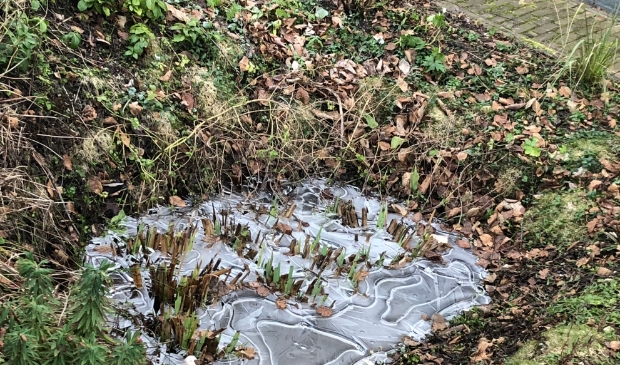 Bevroren wadi