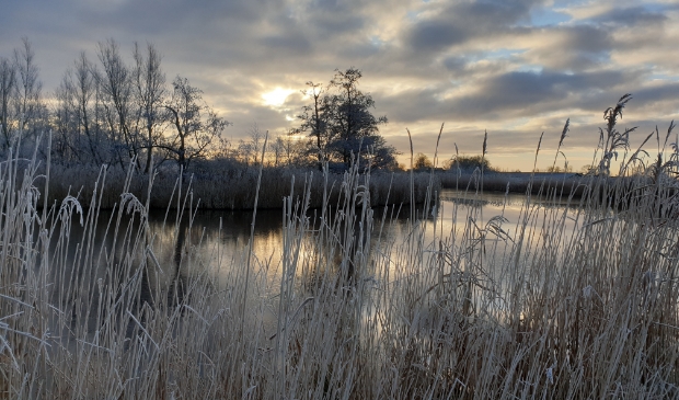 De zonsopgang in de Waver, een klein beetje winter.