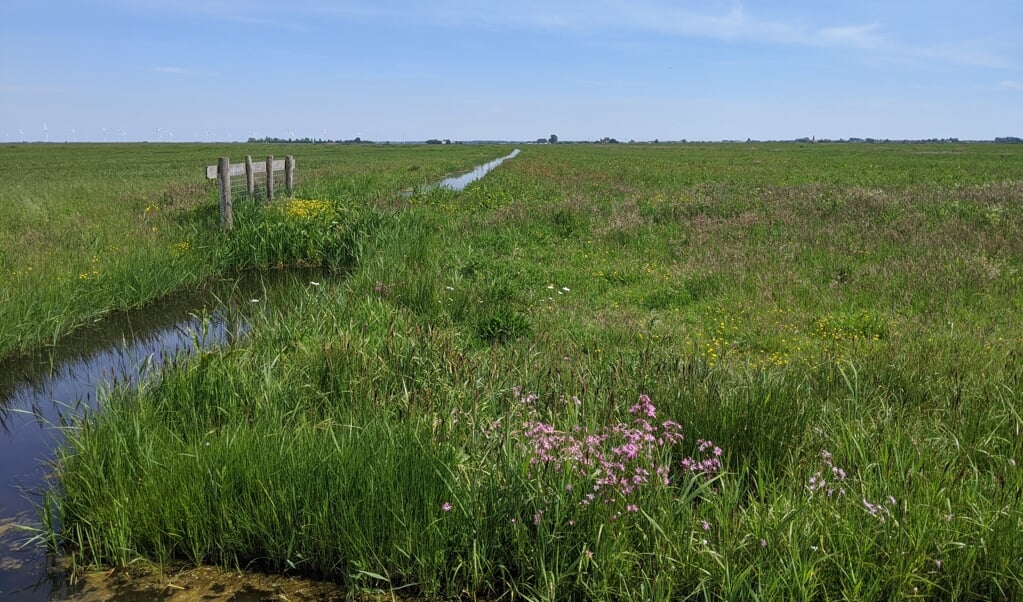 Open landschap in Eempolder