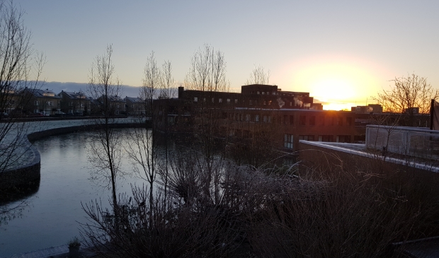 <p>IJs op de Rietplas</p>