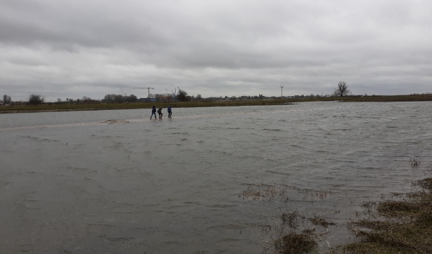 "Wadlopen" in Hardinxveld
