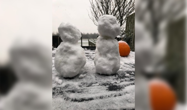 De eerste sneeuwpoppen werden vanmiddag al gesignaleerd.