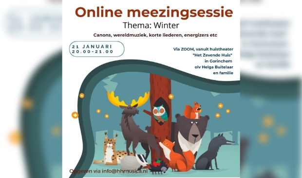 poster online meezingen
