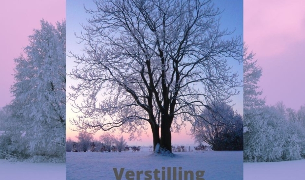 Chillicious workshop afbeelding verstilling