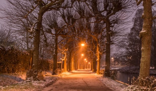 <p>Het Lindenlaantje</p>