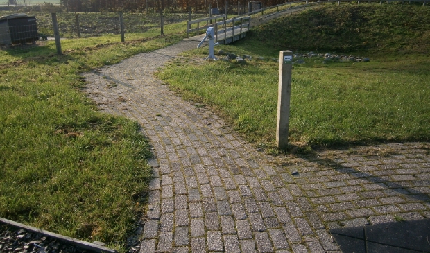 die kom je tegen op je wandeling