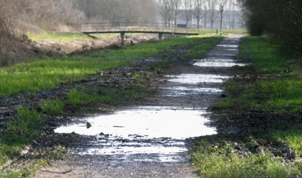 <p>Er wordt eindelijk wat gedaan aan de Venneperhout. </p>