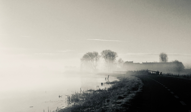 De Bullewijk
