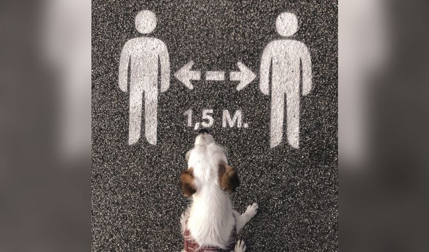 Het hondje Bas passeert het teken op straat van de anderhalve meter afstand