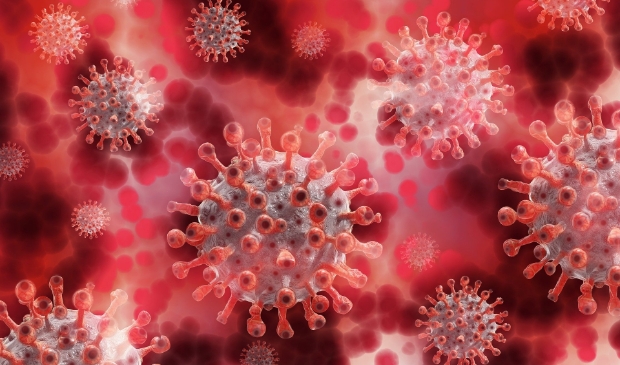 <p>Op 26 januari werd bekend dat in Gorinchem de Zuid-Afrikaanse variant van het coronavirus was ontdekt</p>
