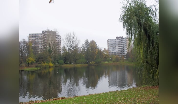 Afbeelding