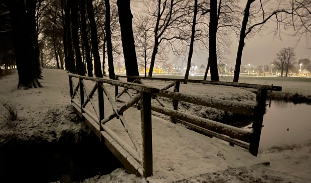 Schaffelaarse bos