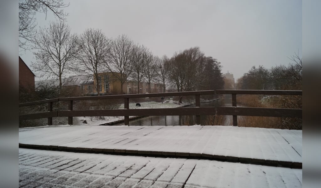 Winters plaatje in Westwijk waar de sneeuw de wereld een klein beetje wit kleurde.