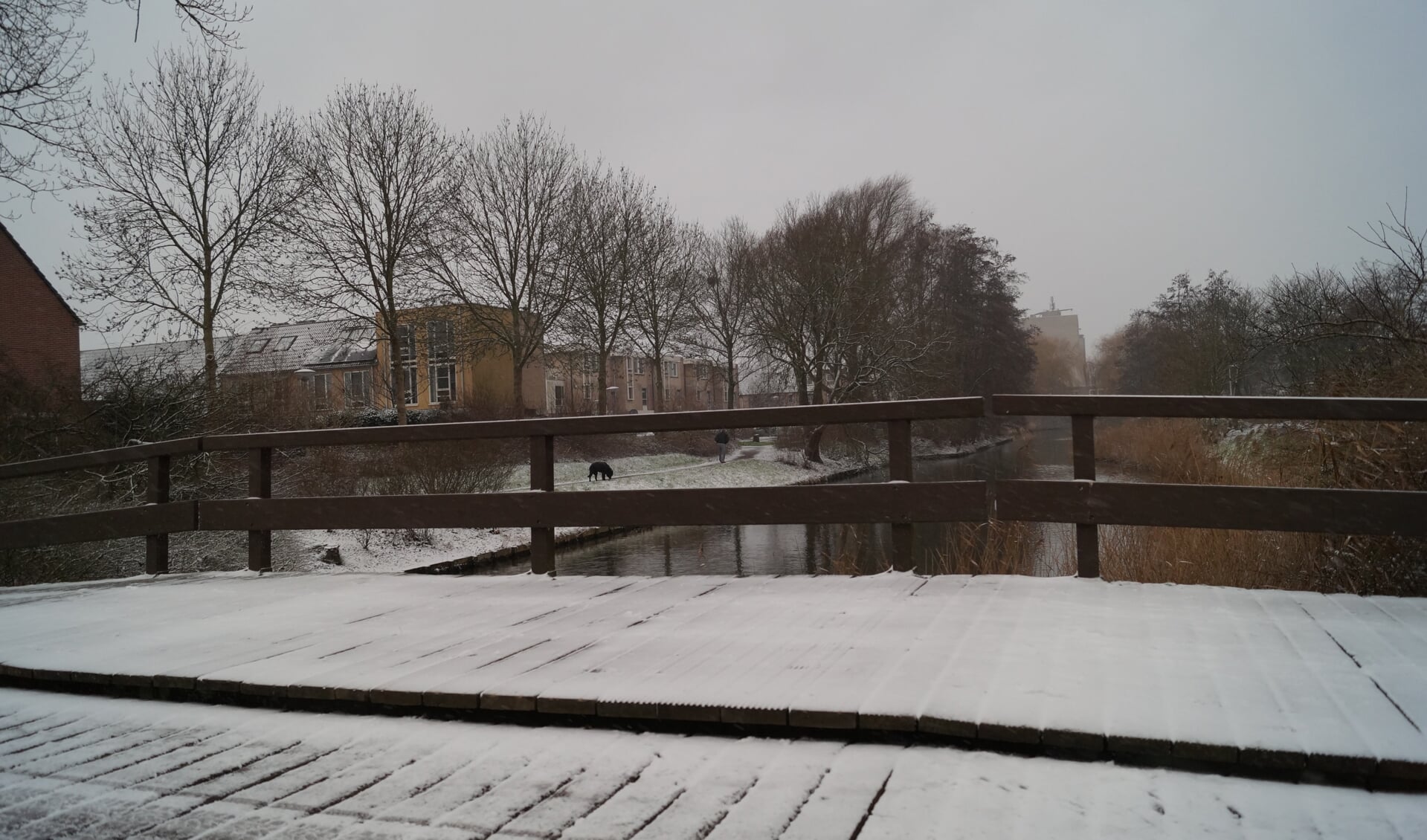 Winters plaatje in Westwijk waar de sneeuw de wereld een klein beetje wit kleurde.