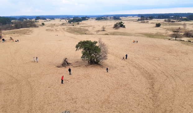 <p>Onder meer het Kootwijkerzand valt onder Staatsbosbeheer.</p>