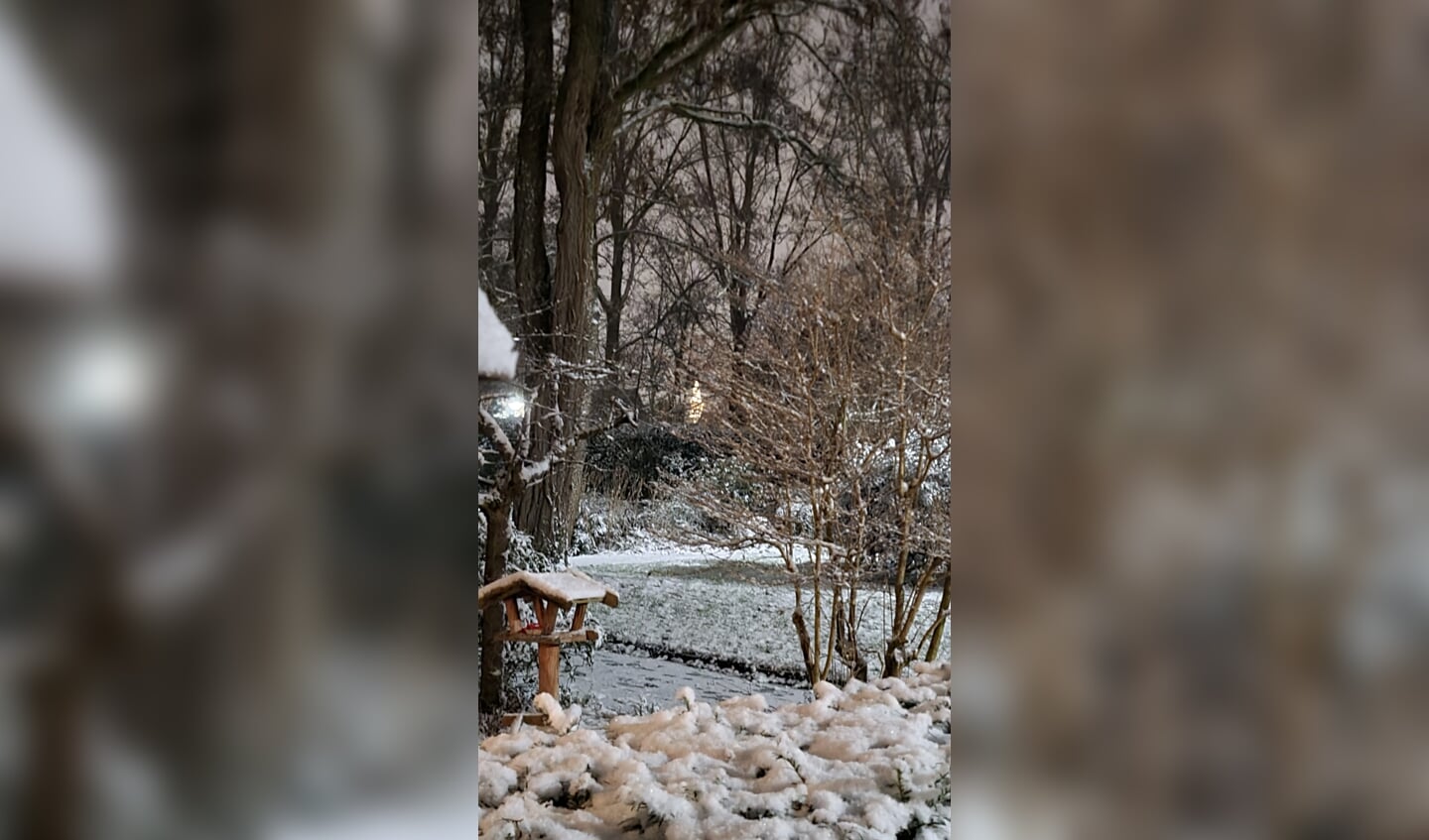 ,,Een winters plaatje, en wat schittert er doorheen? De mooiste", schrijft Frieda Los bij deze foto.