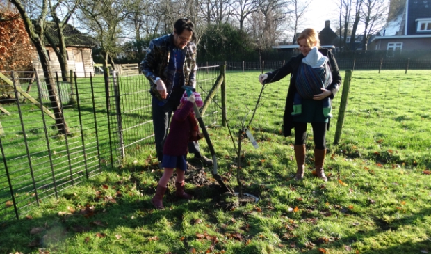 <p>De bomen werden geplant op het 'landje van Scholz'.</p>
