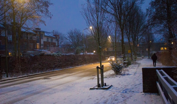 Duivendrecht in de sneeuw